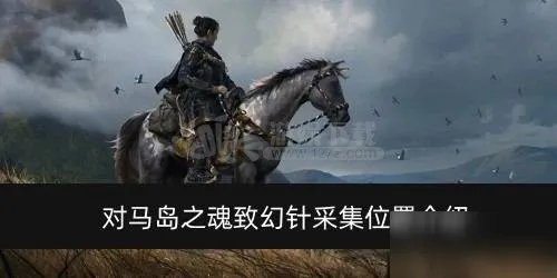 《对马岛之魂》毒针在什么地方采集 致幻针采集位置介绍