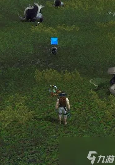 魔兽世界火鸡的末日成就攻略 成就完成方法和技巧详解