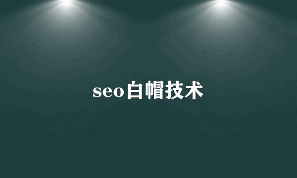 seo白帽技术