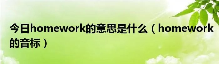 今日homework的意思是什么（homework的音标）