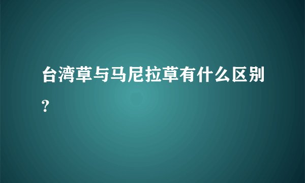 台湾草与马尼拉草有什么区别？