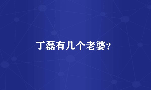 丁磊有几个老婆？
