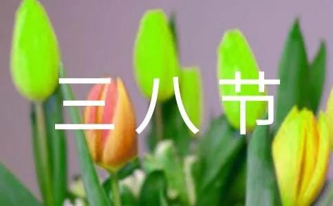 三八节活动主题标语