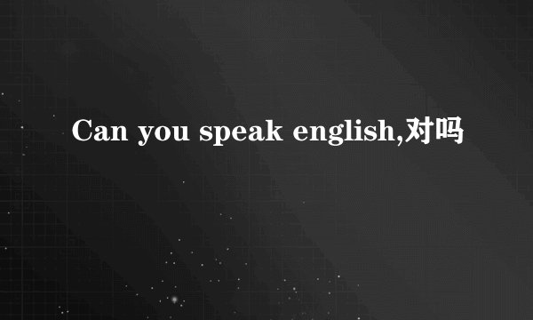 Can you speak english,对吗