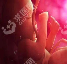 江苏省人民医院试管婴儿医生有哪些呢?