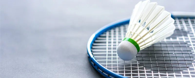 兰威是哪个国家的品牌