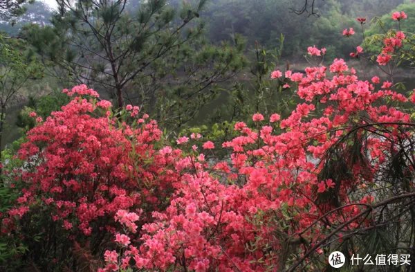湖北旅游景点排名，湖北旅游景点大全介绍！