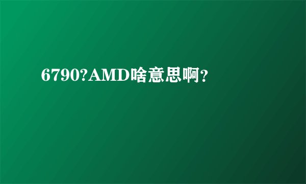 6790?AMD啥意思啊？