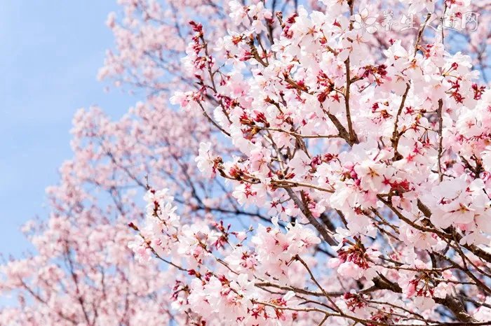 什么颜色口红显温柔 10支温柔小姐姐色口红