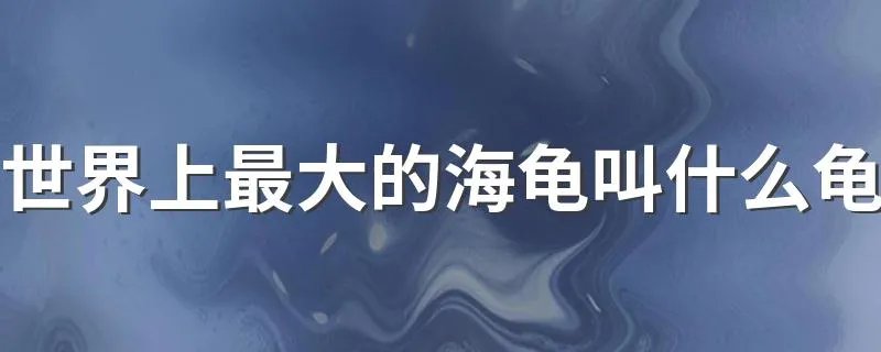 世界上最大的海龟叫什么龟 一起了解下吧