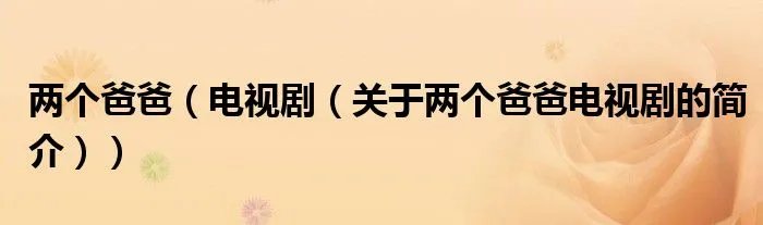 两个爸爸（电视剧（关于两个爸爸电视剧的简介））