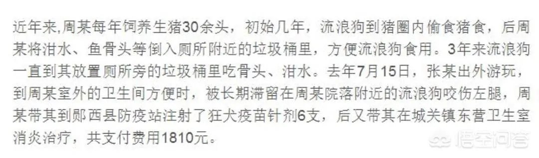 男子喂流浪狗却赔钱，这是怎么回事？