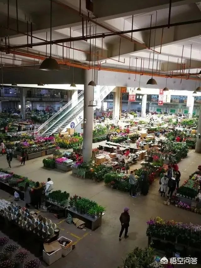 云南有哪些大的鲜花市场？