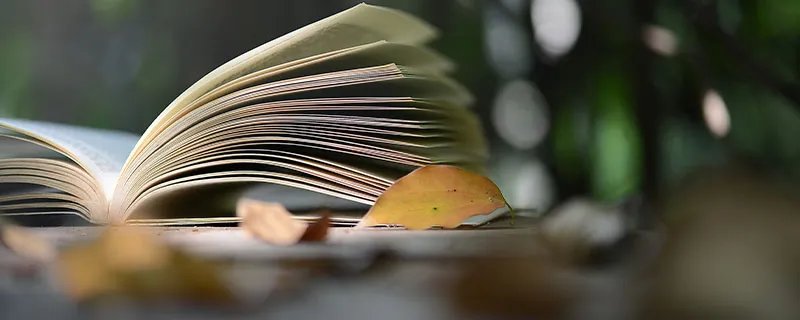 关于立秋的说说朋友圈句子