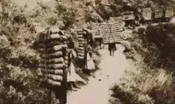 古代“茶马互市”是什么时候兴起的?茶马互换制度是怎么样的?