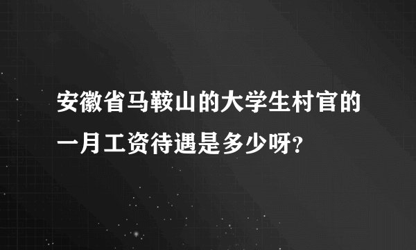安徽省马鞍山的大学生村官的一月工资待遇是多少呀？