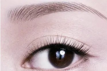 纹眉后的眉毛图片