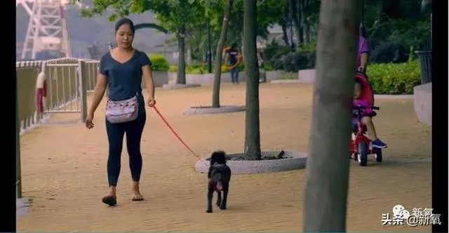 有哪些比较好看的纪录片?