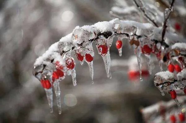 今年首个寒潮来袭，将对哪些省区市有什么影响？