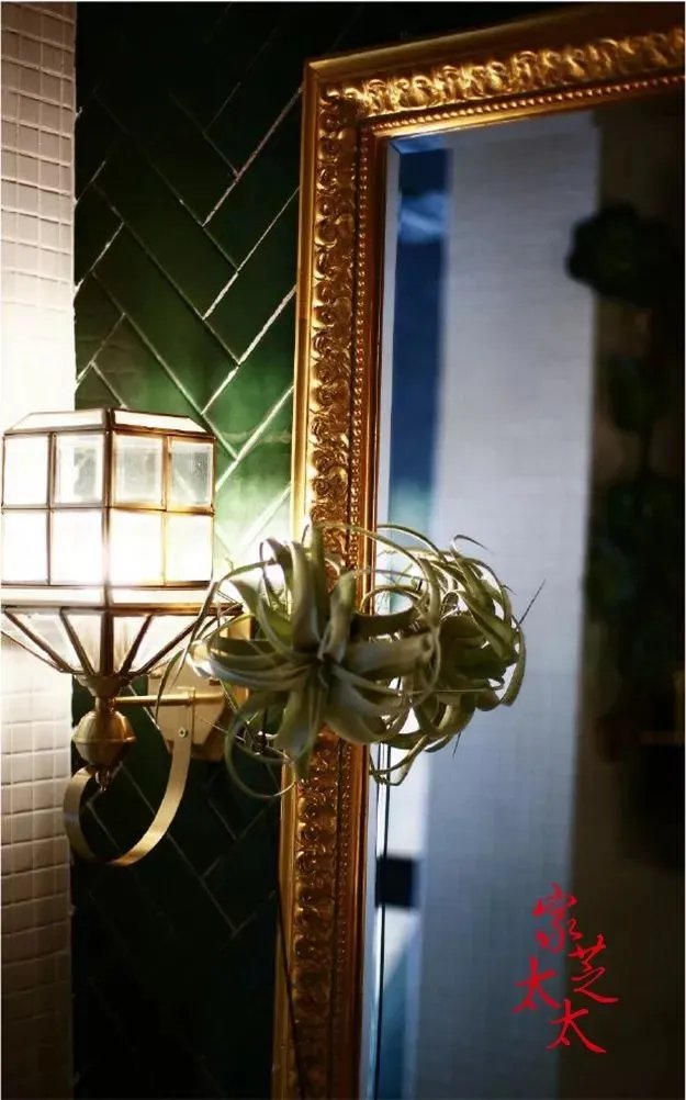 他花15万把上海老宅改成摩洛哥宫殿,单身真是贵族啊!