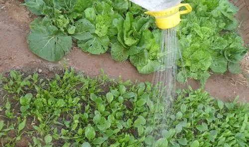 自制实用喷水壶