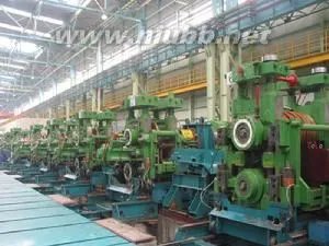 苗丰强的品牌之路