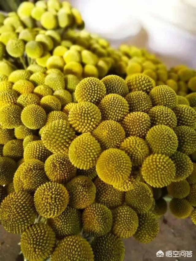 云南有哪些大的鲜花市场？