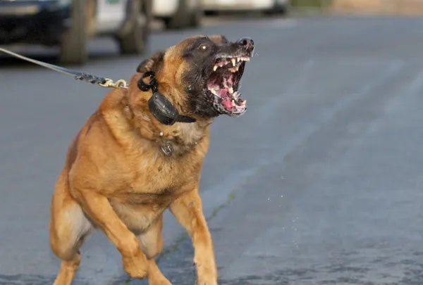 邯郸男孩失联3日发现遗体,这名男孩的死因到底是什么?