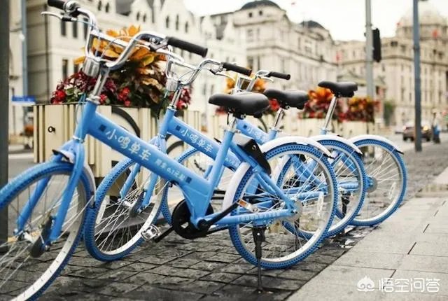 从目前来看,共享单车倒闭几家了?