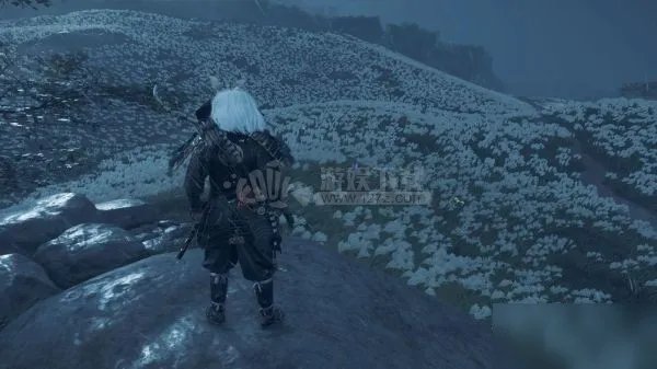 《对马岛之魂》毒针在什么地方采集 致幻针采集位置介绍