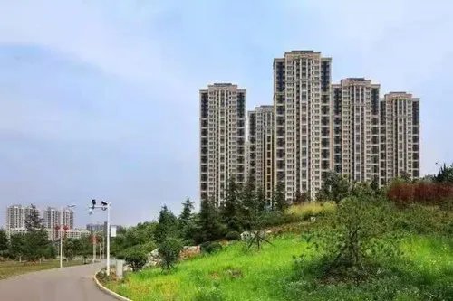 房地产开发是做什么的