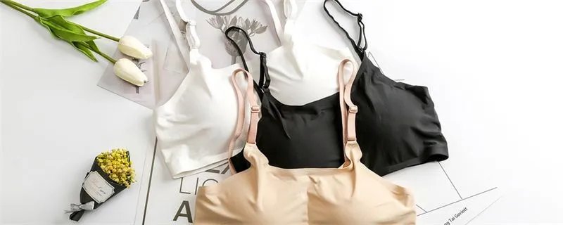 bra是什么意思中文