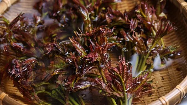 女人经常喝白醋有什么好处？