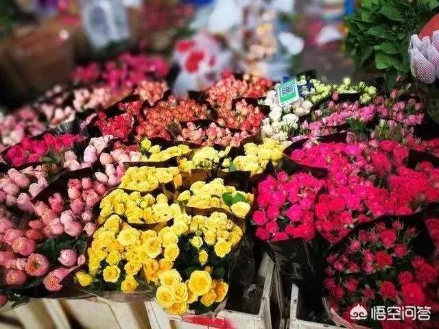 云南有哪些大的鲜花市场？