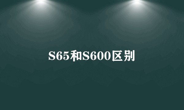 S65和S600区别