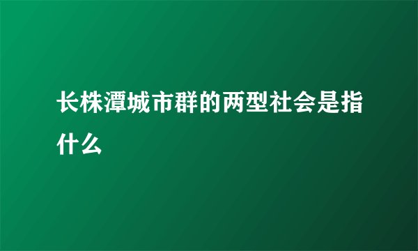 长株潭城市群的两型社会是指什么