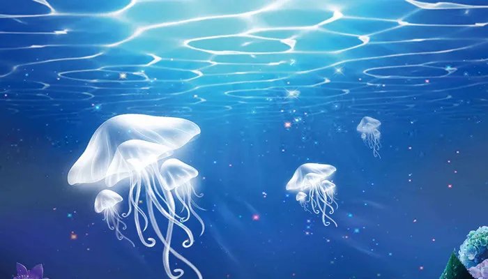 灯塔水母的寿命 灯塔水母的寿命有多长