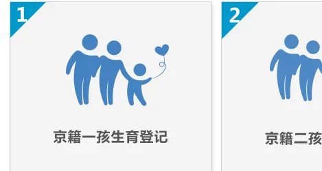 北京计划生育网上登记系统