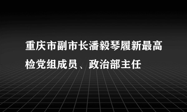 重庆市副市长潘毅琴履新最高检党组成员、政治部主任