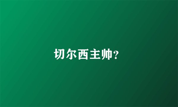 切尔西主帅？