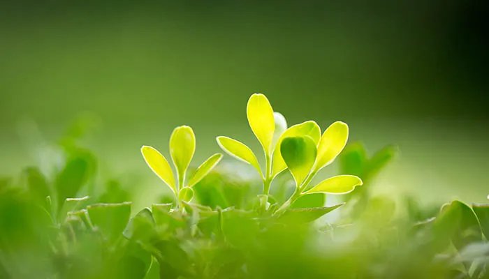 2022年什么时候打春 2022年打春时间是什么时候