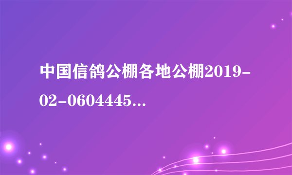 中国信鸽公棚各地公棚2019-02-0604445这是那个公棚的鸽子？