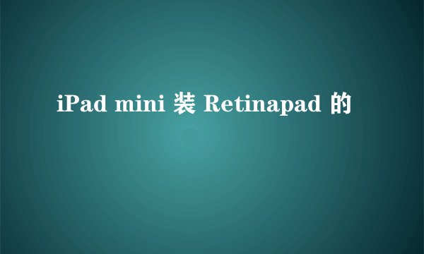 iPad mini 装 Retinapad 的問題