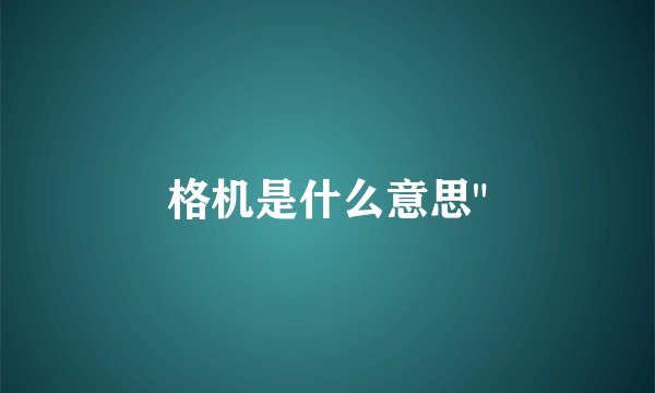 格机是什么意思