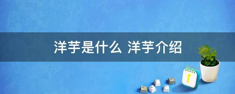 洋芋是什么 洋芋介绍