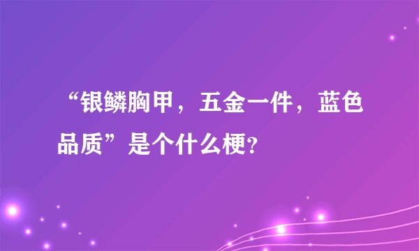 “银鳞胸甲，五金一件，蓝色品质”是个什么梗？
