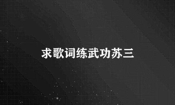 求歌词练武功苏三