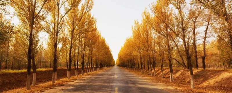 碳中和怎么交易 什么是碳交易