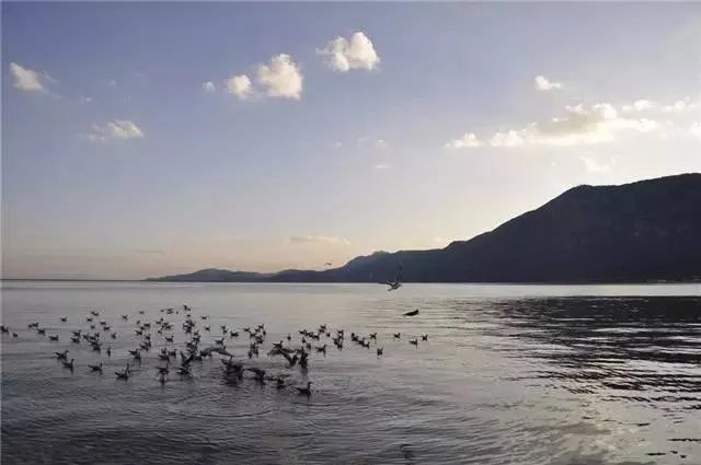 昆明，你就是个P！