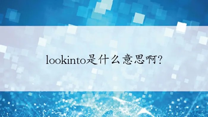 lookinto是什么意思啊？